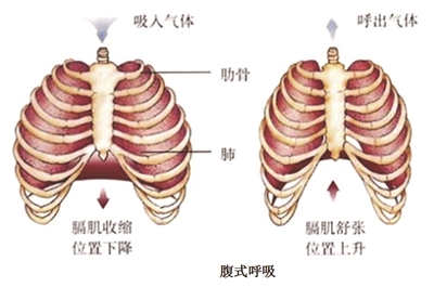 &#24320;&#20803;&#32593;&#39029;&#29256;&#95;&#24320;&#20803;&#40;&#20013;&#22269;&#41;