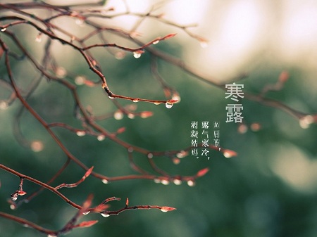 &#24320;&#20803;&#32593;&#39029;&#29256;&#95;&#24320;&#20803;&#40;&#20013;&#22269;&#41;
