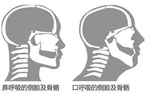&#24320;&#20803;&#32593;&#39029;&#29256;&#95;&#24320;&#20803;&#40;&#20013;&#22269;&#41;