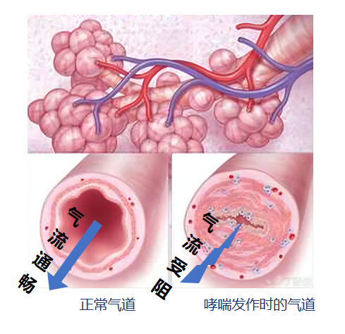 &#24320;&#20803;&#32593;&#39029;&#29256;&#95;&#24320;&#20803;&#40;&#20013;&#22269;&#41;